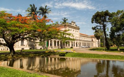 Pesquisadores da USP analisam a mediação e a conciliação no país e apontam ações